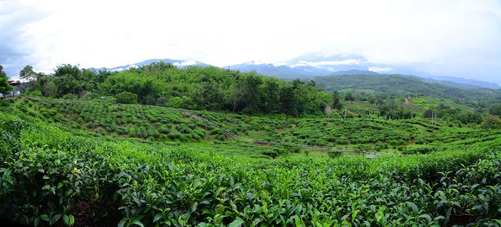 Sabah Tea Resort Ranau Eksteriør billede