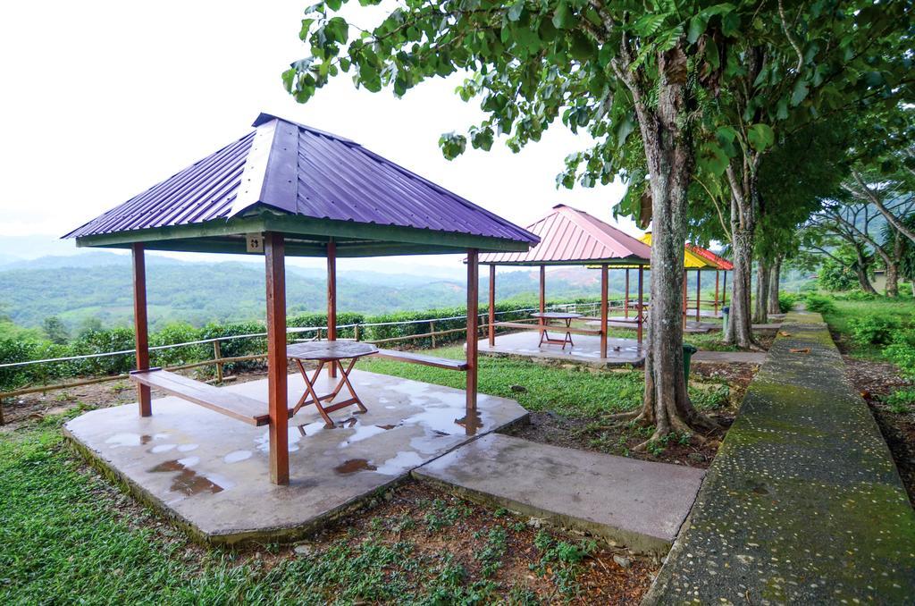 Sabah Tea Resort Ranau Eksteriør billede