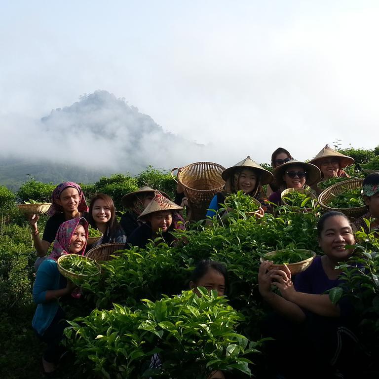 Sabah Tea Resort Ranau Eksteriør billede