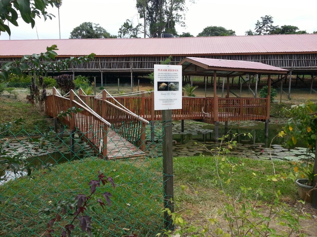 Sabah Tea Resort Ranau Eksteriør billede