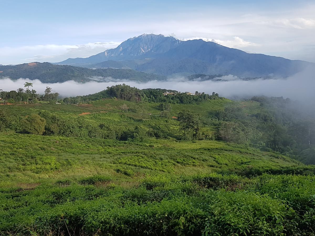 Sabah Tea Resort Ranau Eksteriør billede