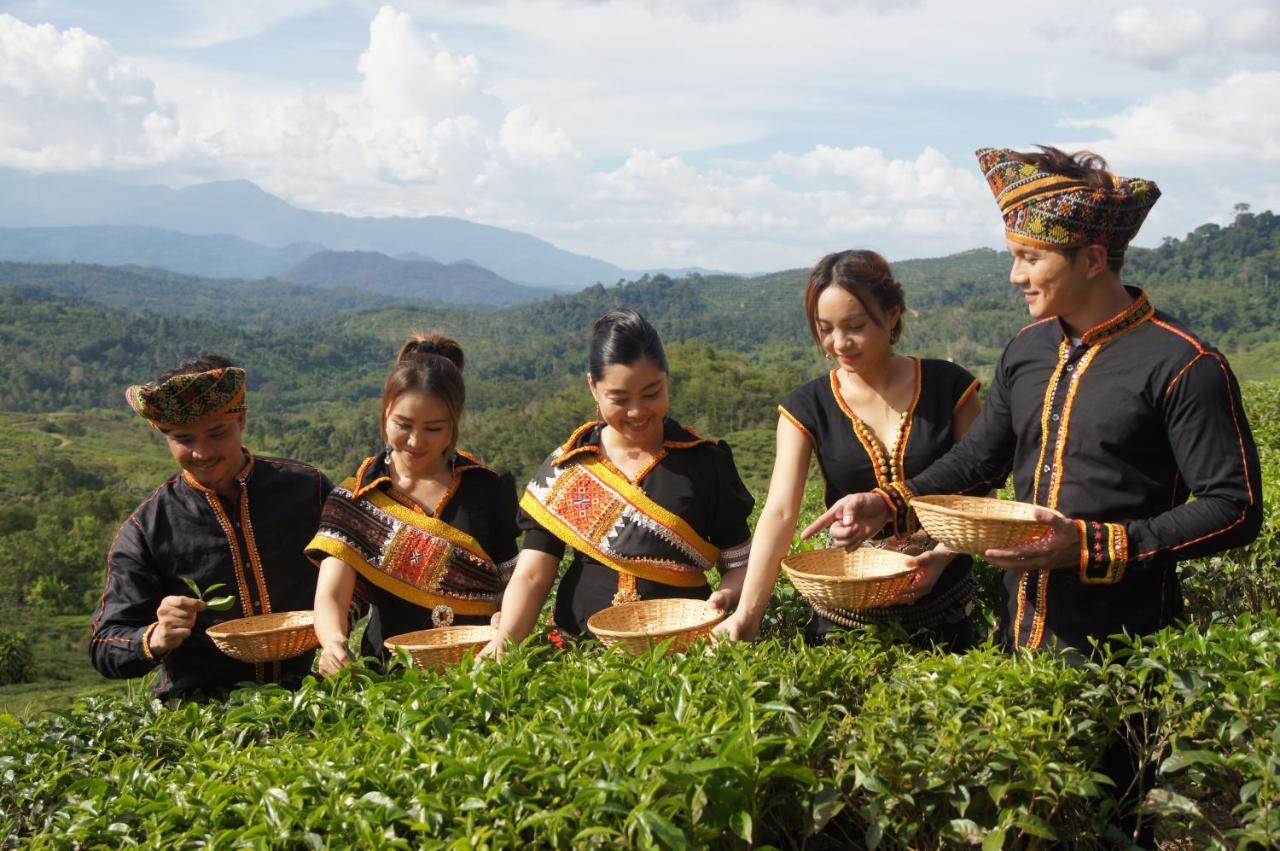 Sabah Tea Resort Ranau Eksteriør billede