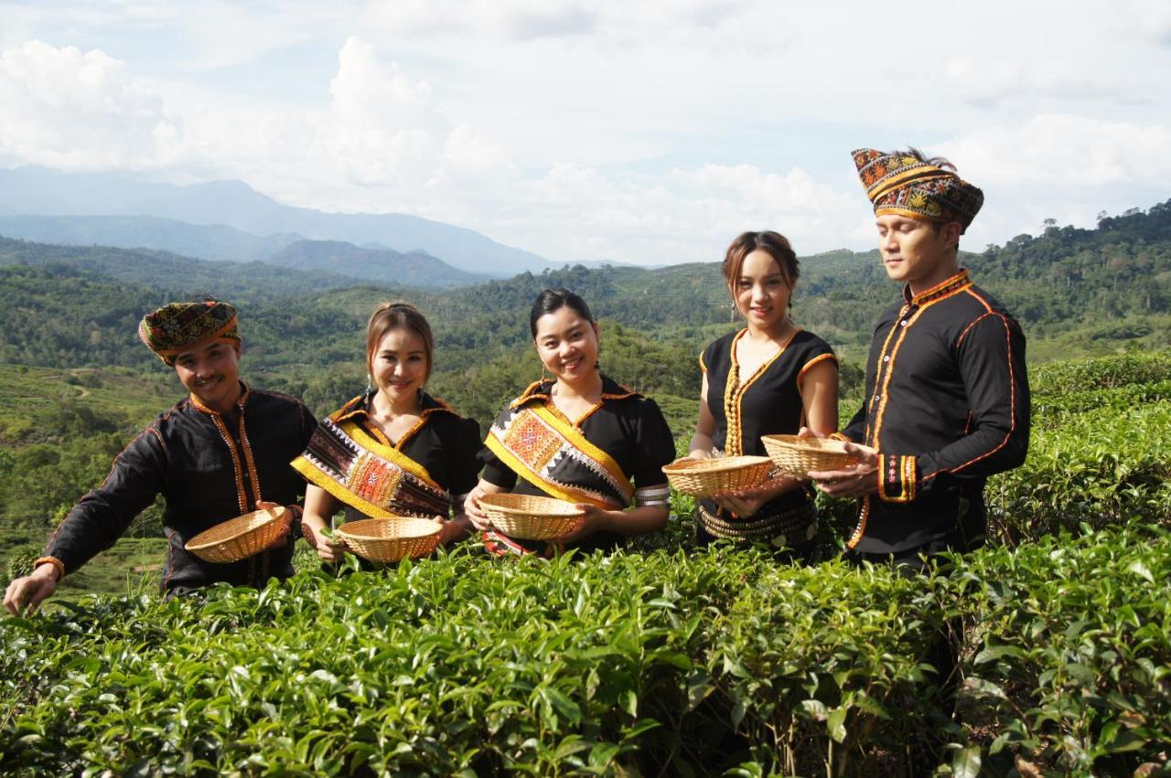 Sabah Tea Resort Ranau Eksteriør billede