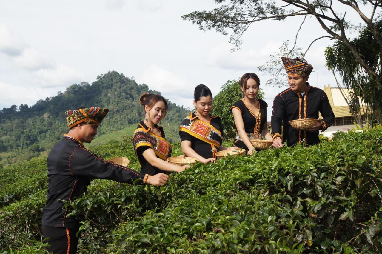 Sabah Tea Resort Ranau Eksteriør billede