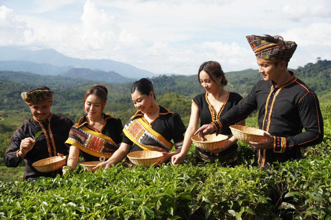 Sabah Tea Resort Ranau Eksteriør billede