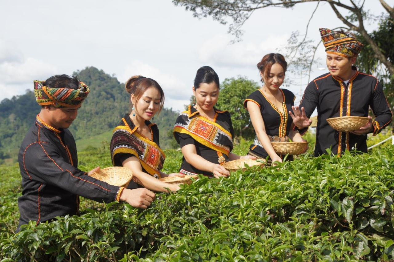 Sabah Tea Resort Ranau Eksteriør billede