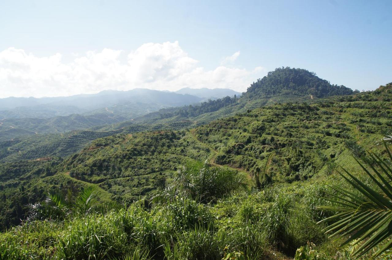 Sabah Tea Resort Ranau Eksteriør billede